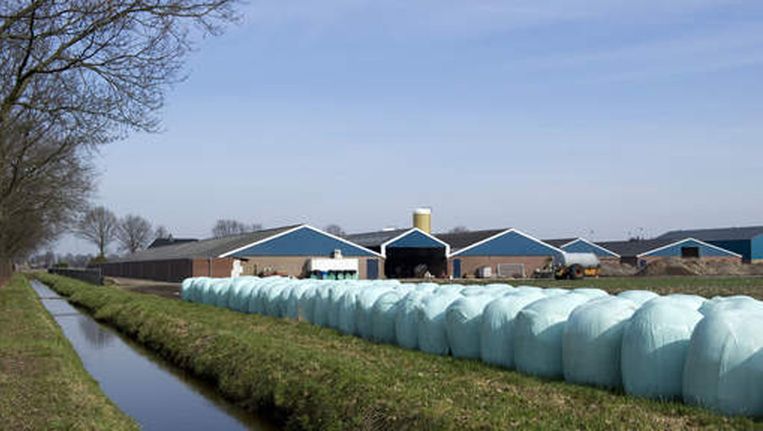 Brabantse veeboeren zijn bouwstop voor - Trouw