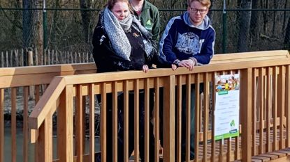 Leerlingen Tongelsbos steken zelf brug in elkaar