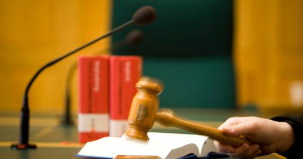 Megenaar steelt hondje van ex en vernielt haar inboedel - BD.nl