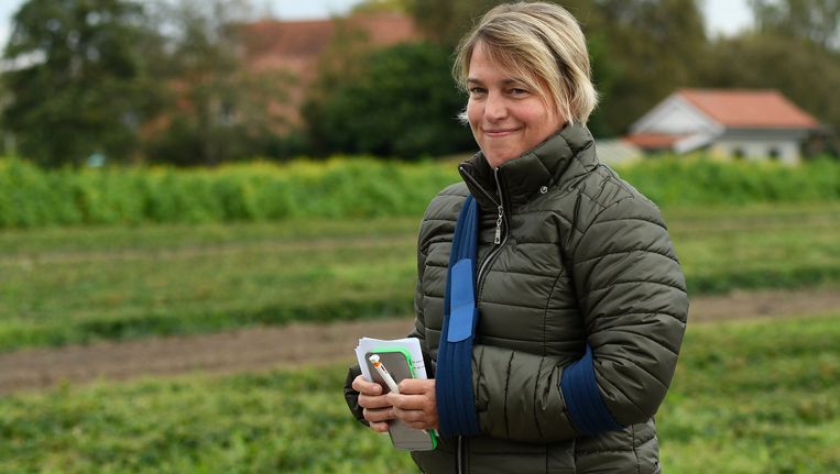 Wortel-Kolonie erkend als achtste stiltegebied ...