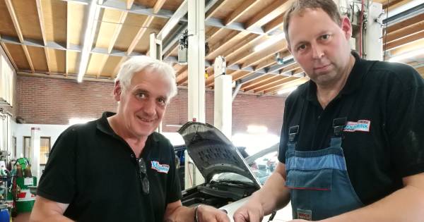 Marters terroriseren heel Bornerbroek