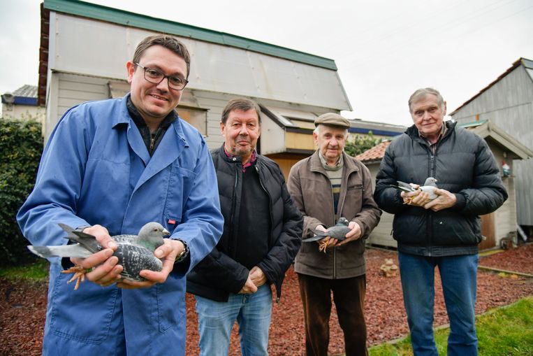 Kenny, Jan, Roger en Robert: “De duivensport is een traditie die niet verloren mag gaan.”