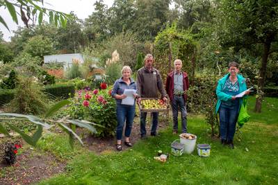 Volkstuintjes in Hooge Zwaluwe moeten verdwijnen, gebruikers ten einde raad