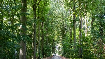 Agentschap Voor Natuur En Bos Hln