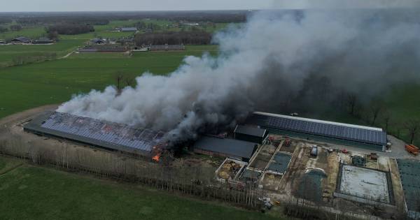 Duizenden kippen omgekomen bij schuurbrand Bentelo, twee personen naar ziekenhuis - BN DeStem