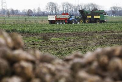 Met extra brede en zachte banden de laatste bieten binnen halen