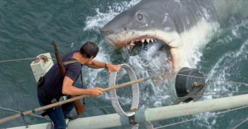 Dobberend op het water naar Jaws kijken… durf jij het aan?