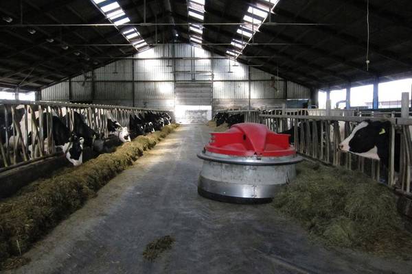 De Boeddhistische Blik: Georgica