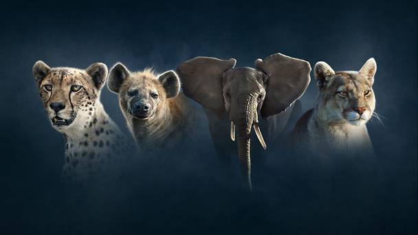 Dynasties: Making of