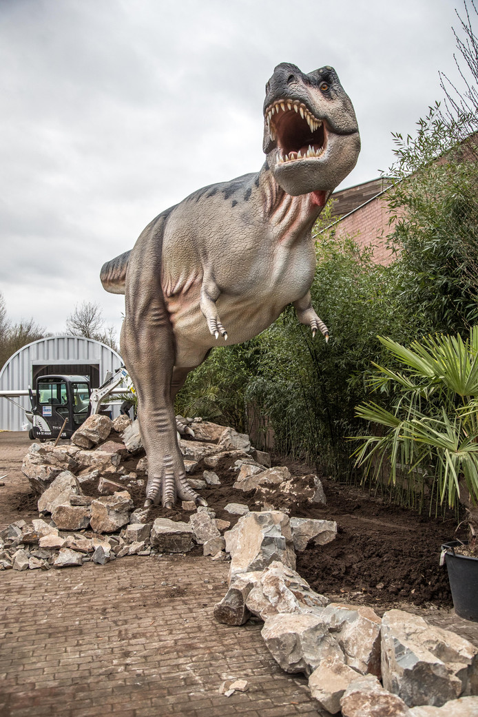 Dinoland Zwolle niet bang voor grote expo Utrecht | Zwolle ...