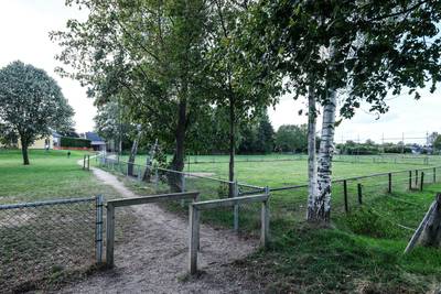Kinderen dolblij: ze mogen weer voetballen op hun veldje in Halle