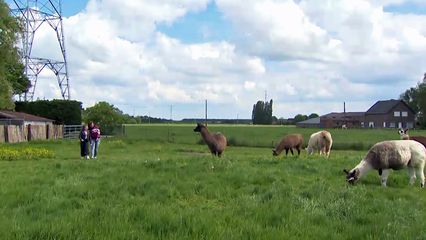 Aflevering 12