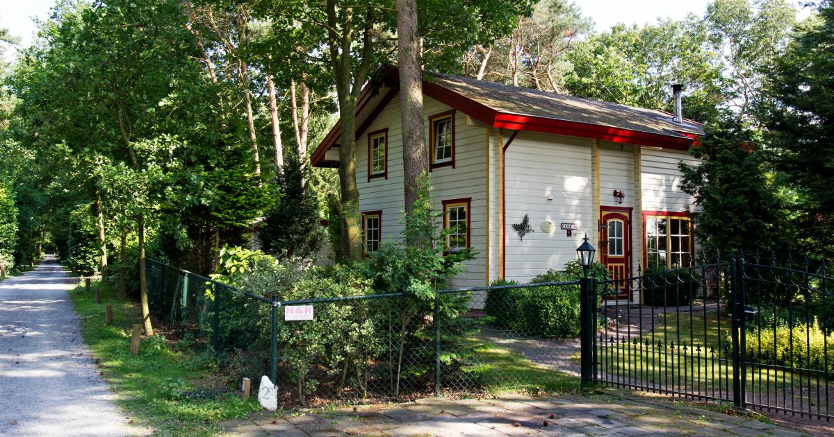 Eindelijk rust voor de Stille Wille: park na jarenlange onduidelijkheid verkocht.