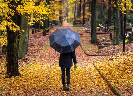 Dít is de weersvoorspelling voor november