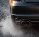 ‘Uitstoot van stikstof schadelijker voor natuur dan gedacht’