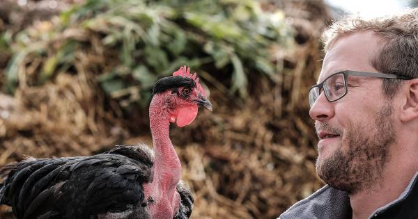 Jorick houdt van bijzondere allochtone dieren | Bronckhorst - De Gelderlander