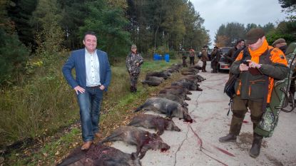 Open Vld Limburg wil everzwijnenplan: "Boete voor jagers die er te weinig schieten"
