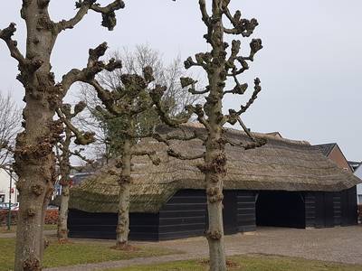 Opknappen monumentale karkooi pas na Nieuwjaar