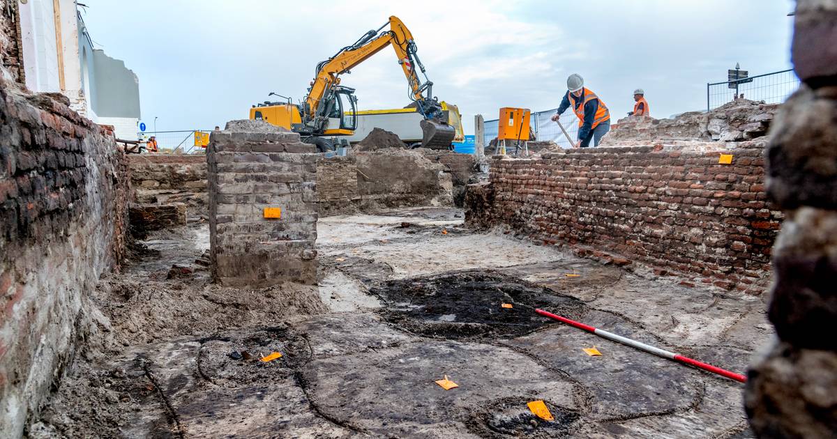 Harderwijkse stadsmuur en 500 jaar oude muren van kasteel de Hertog van