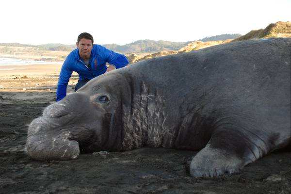 Super Giant Animals