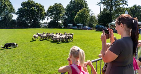 Odiliapeel in het teken van het schaap