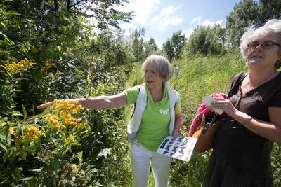 Natuurtuin Diddersgoed, een verborgen stukje Veenendaalse natuur