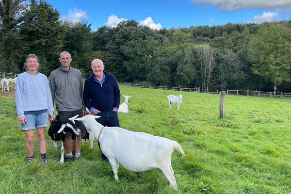 Rick Stein's Cornwall