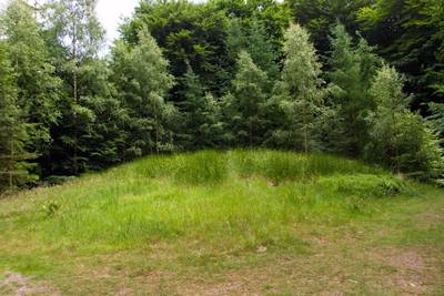 Zoektocht naar Veluwse grafheuvels overtrof alle verwachtingen