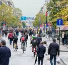 In derde van de Vlaamse gemeenten wordt norm overschreden, Schauvliege wil schepen van Luchtkwaliteit