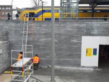 Gaas moet losse tegels bij station Bergen op Zoom tegen houden