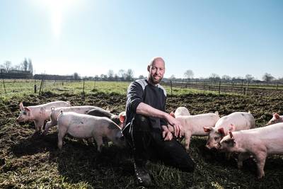 Boodschappen direct vanaf de boerderij: ‘Enorme boost in vleesverkoop’
