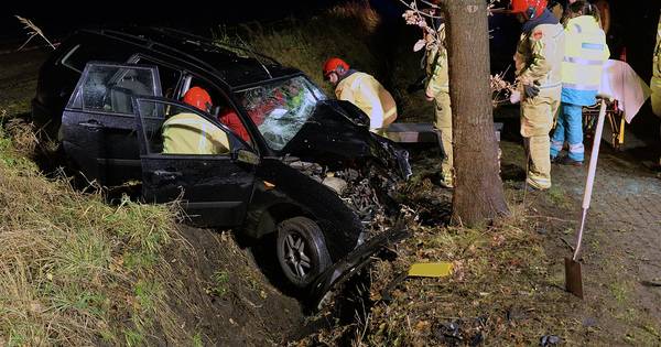 Heftige frontale botsing met boom in Luyksgestel, man raakt gewond - Eindhovens Dagblad