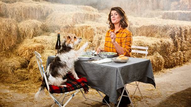 De streken van Van Boven