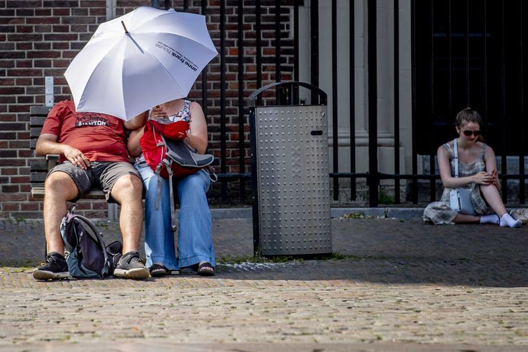 Hete en droge zomer verwacht, maar hoe zeker is dat?