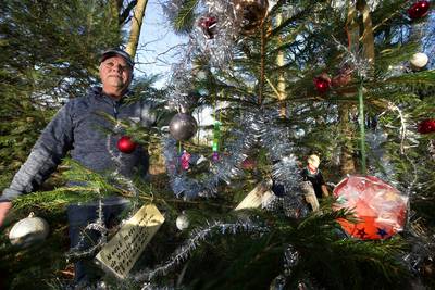 Henk (82) versiert kerstboom in het bos als eerbetoon aan zijn Rietje: 'Ik heb moeite het verlies ee