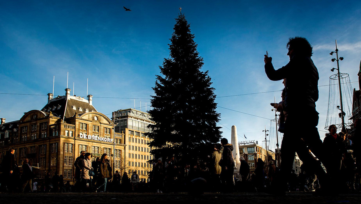 Kerstboom Op De Dam Hergebruikt Voor Dieren In Artis Het Parool
