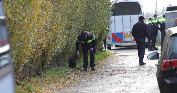 Operatie Alfa: onderzoek naar geld, drugs en wapens levert in Macharen niets op - De Gelderlander