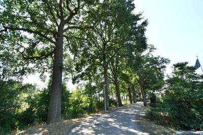 Eenrichting op door asbest geplaagde Gondalaan in Goor