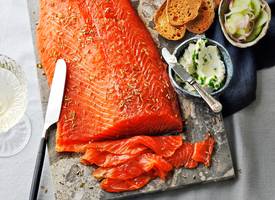 Gemarineerde zalm met komkommer, citroen-roomkaas en melbatoast