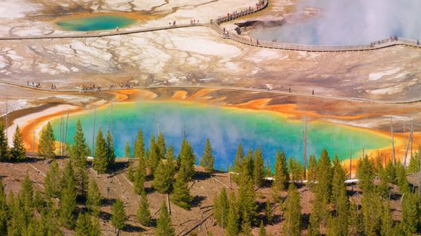 X-Ray Earth: Hidden Forces