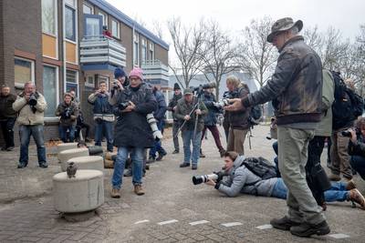 Op zoek naar het mooiste plaatje gaan natuurfotografen regelmatig in de fout