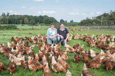 Fipronil-crisis: 'Machteloos staan, dat is het ergste'