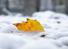 Dít zijn de mooiste plaatjes van de sneeuw