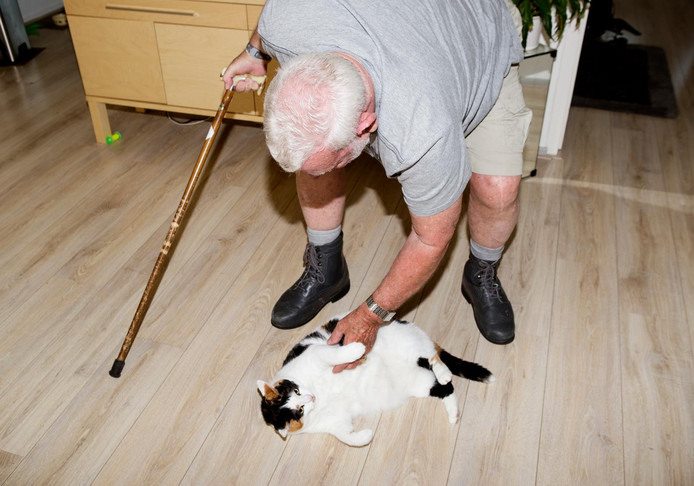 Kattenfluisteraar groningen