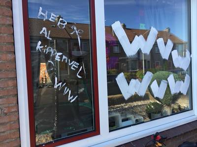 Humor voor de derby: twaalf kippen in de tuin en raam beschilderd