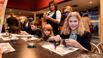 Glascontainer maasmechelen