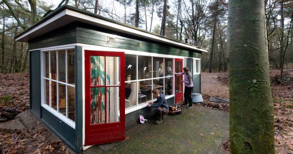 Deze bijzondere boshuisjes worden opgeknapt door Arnhemse klusvrouwen