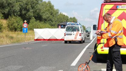 Brugsesteenweg Hln