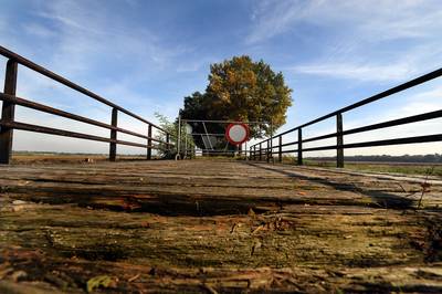 Landhorst moet roepen om gehoord te worden, zegt CDA, en daarom moet deze weg nu verhard worden