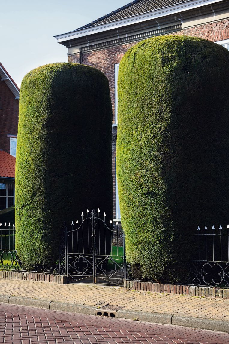 Jan Dirk van der Burg is nieuwe Fotograaf des Vaderlands De Volkskrant